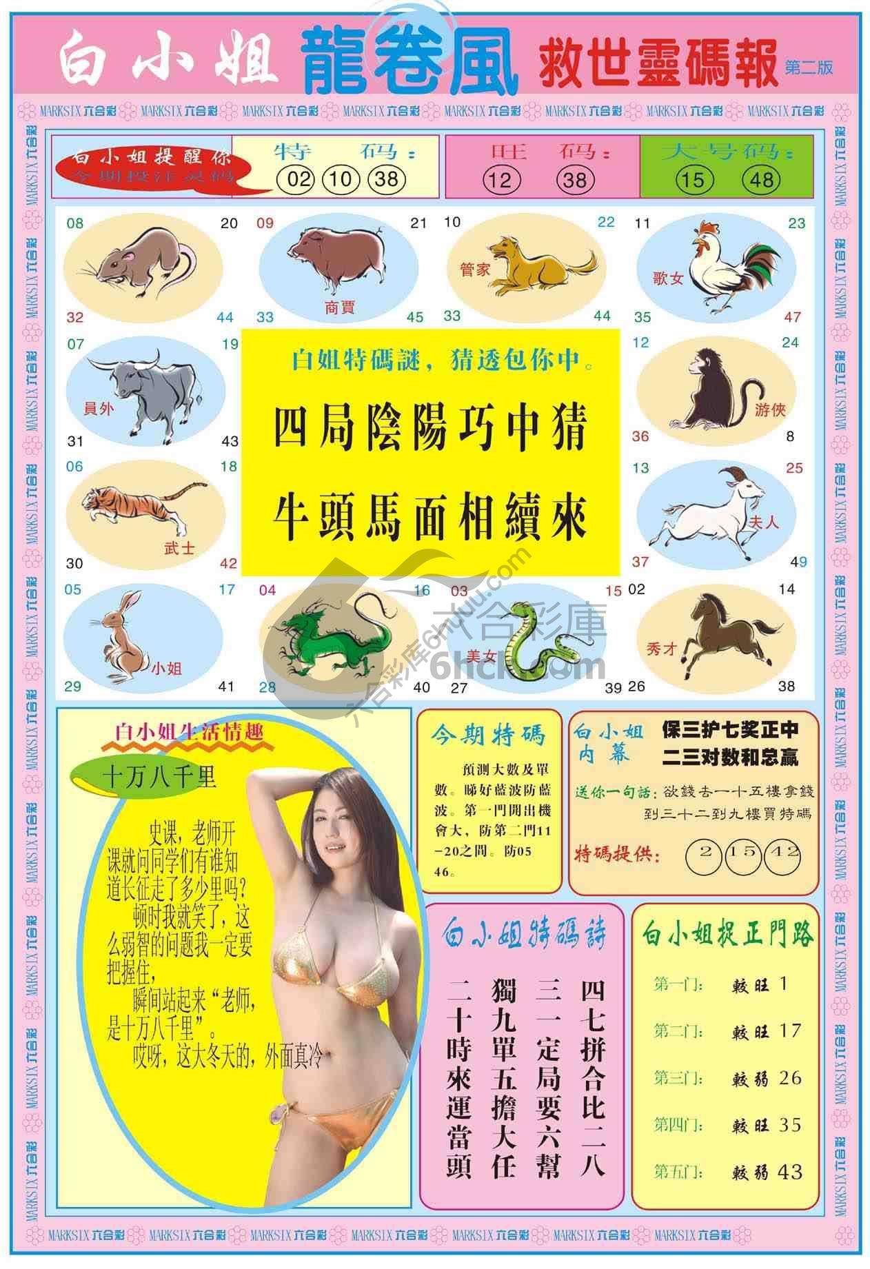 白小姐救世灵码报
