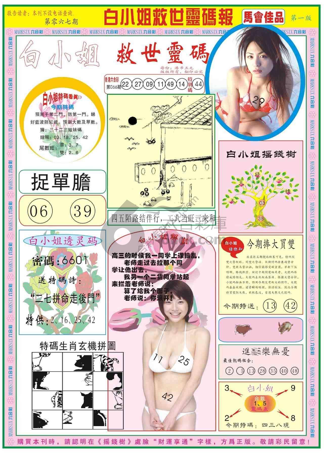 白小姐救世灵码报