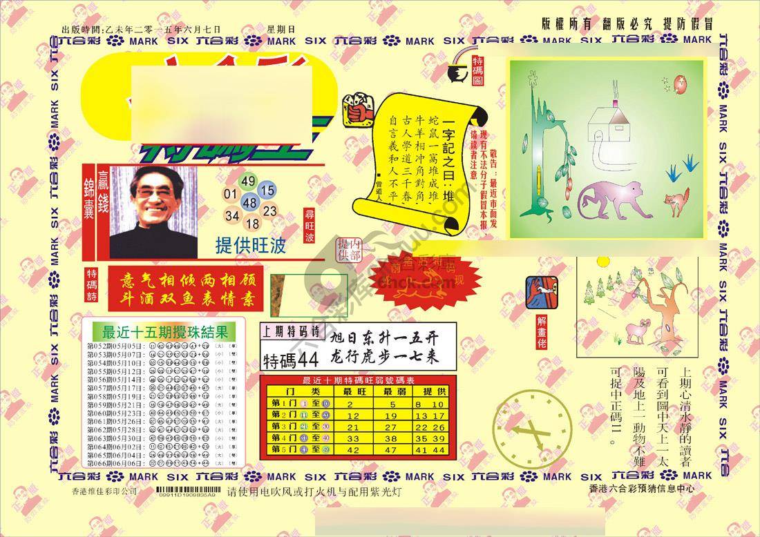 特码王
