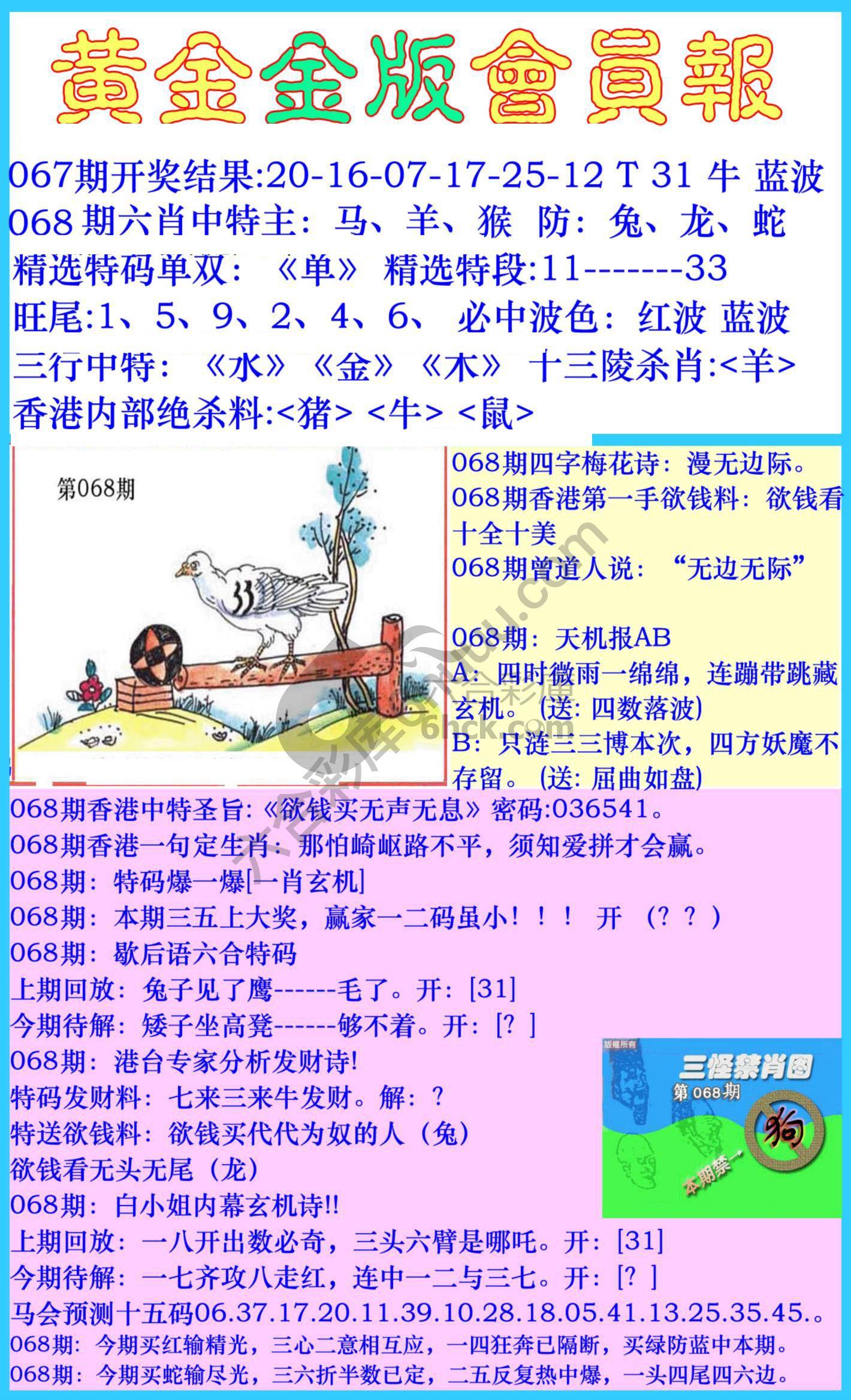 黄金金版会员报
