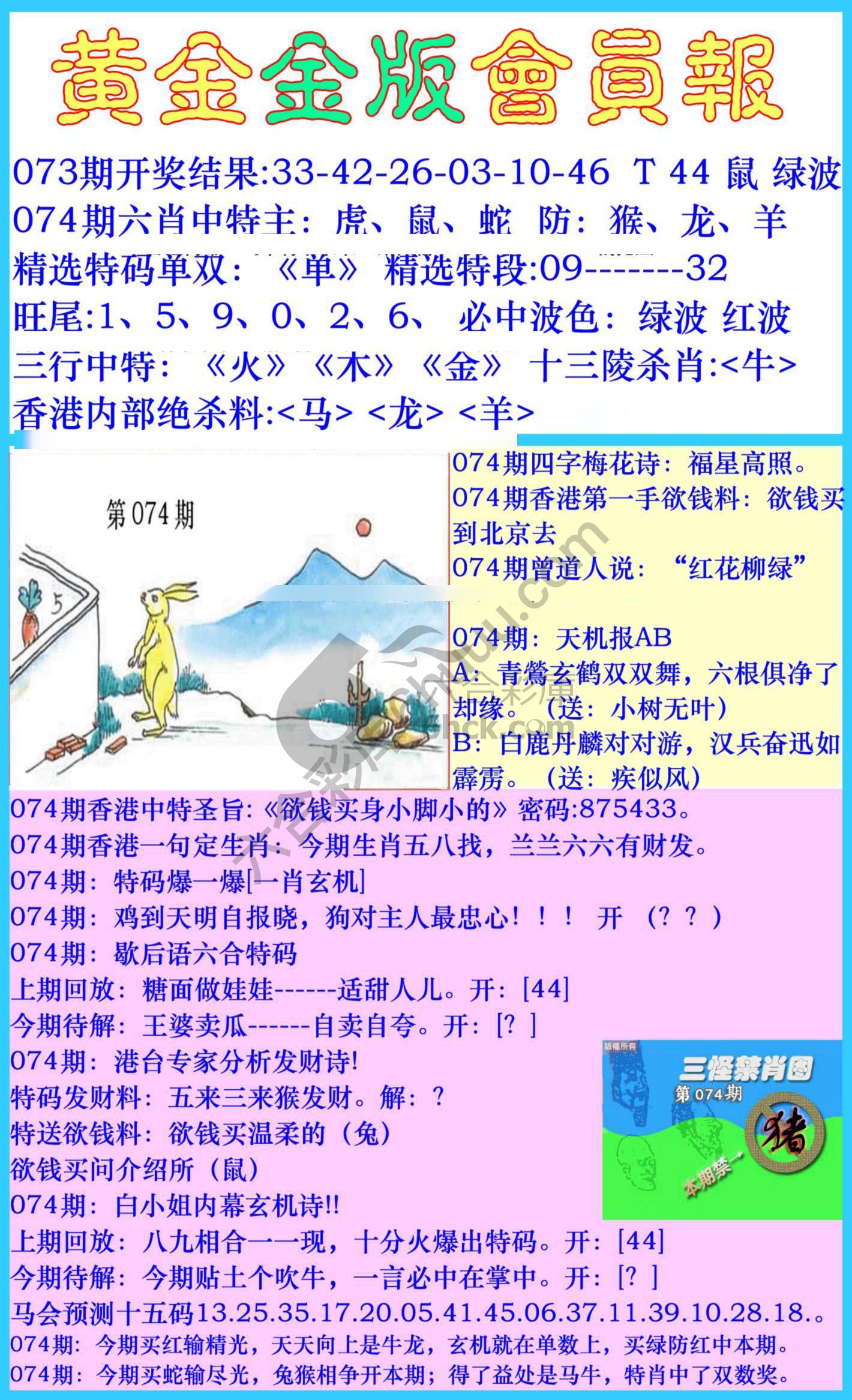 黄金金版会员报