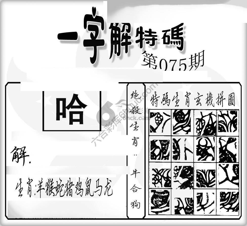 一字解特码