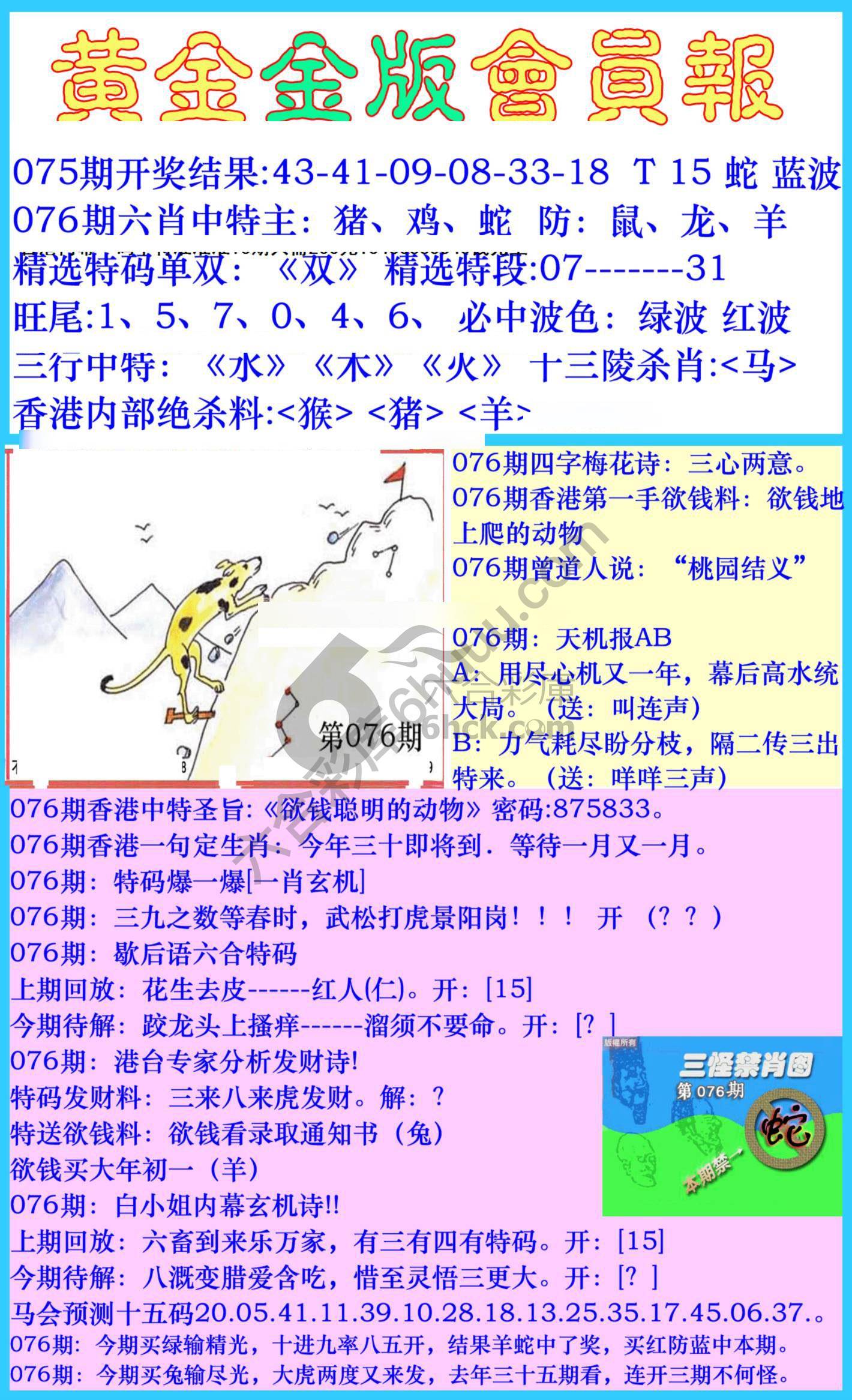 黄金金版会员报