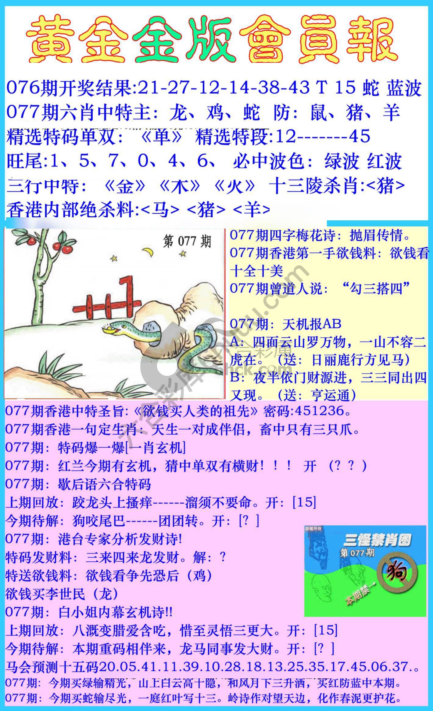 黄金金版会员报