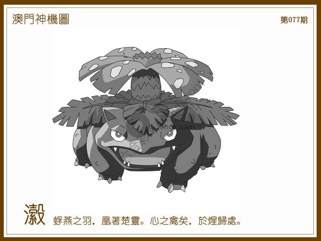 澳门神机图