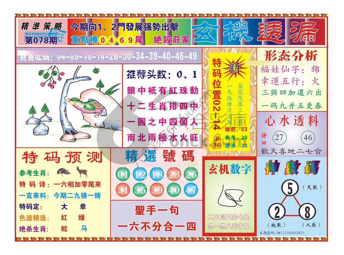 玄机透漏