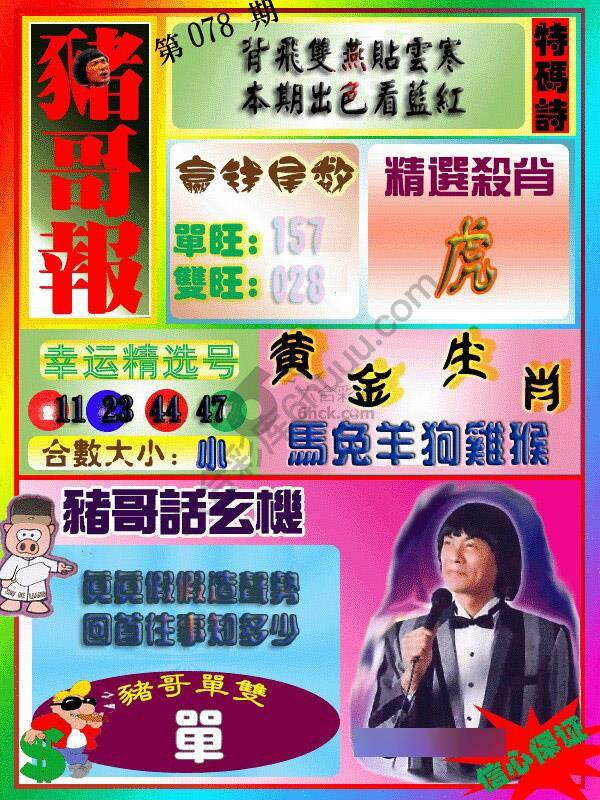 猪哥报