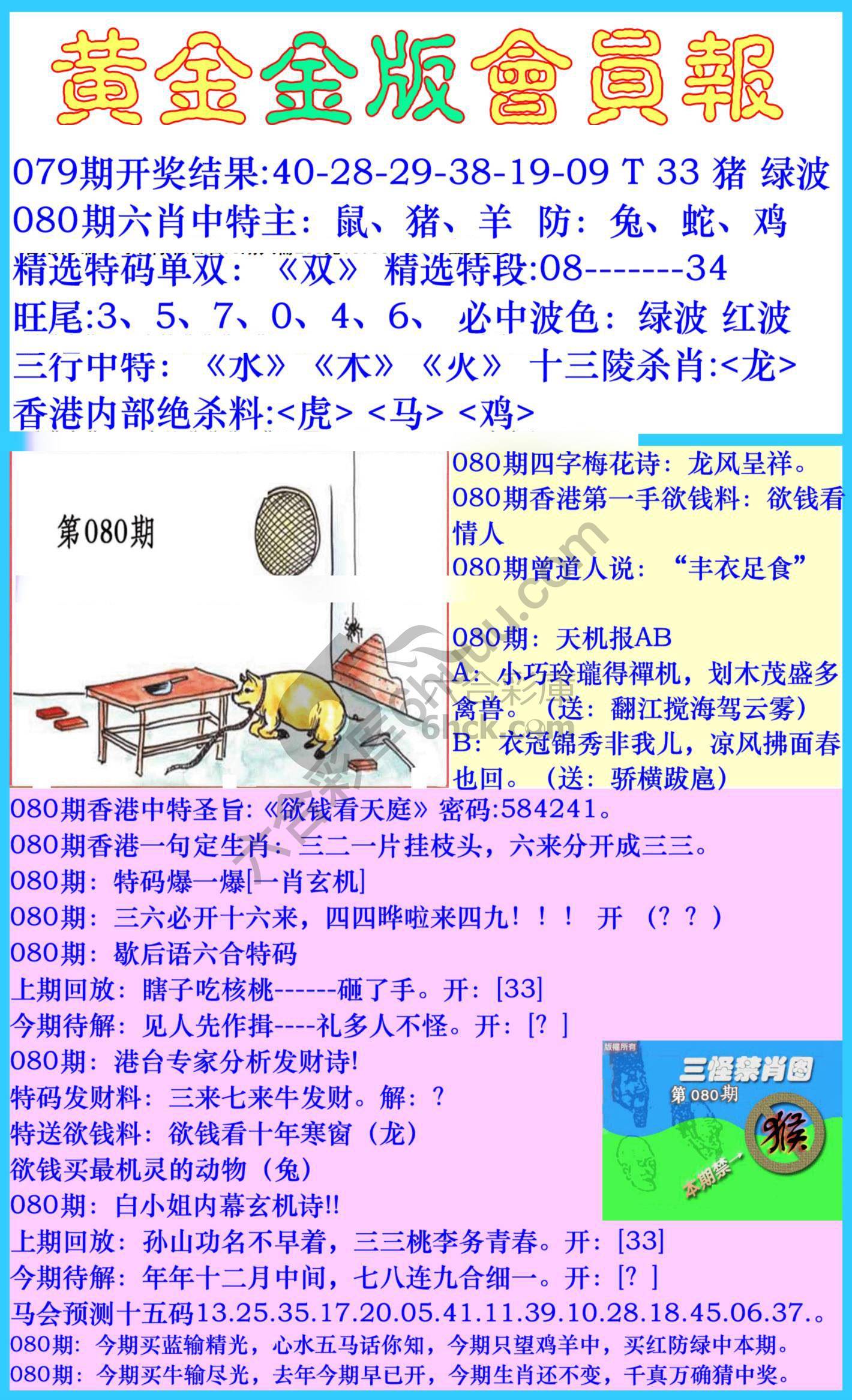 黄金金版会员报