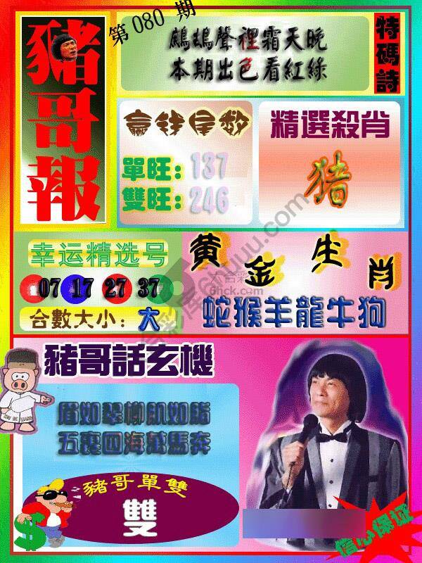 猪哥报