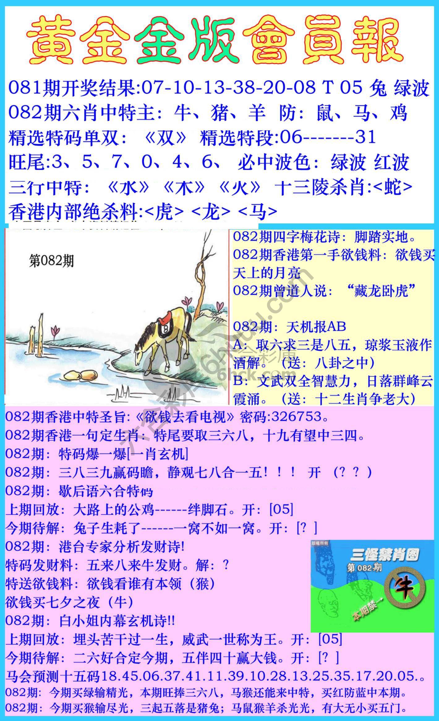 黄金金版会员报