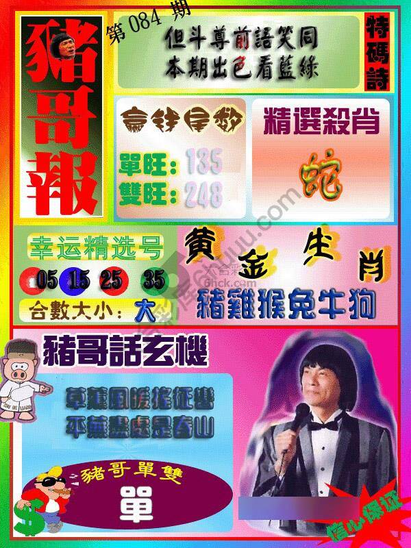 猪哥报