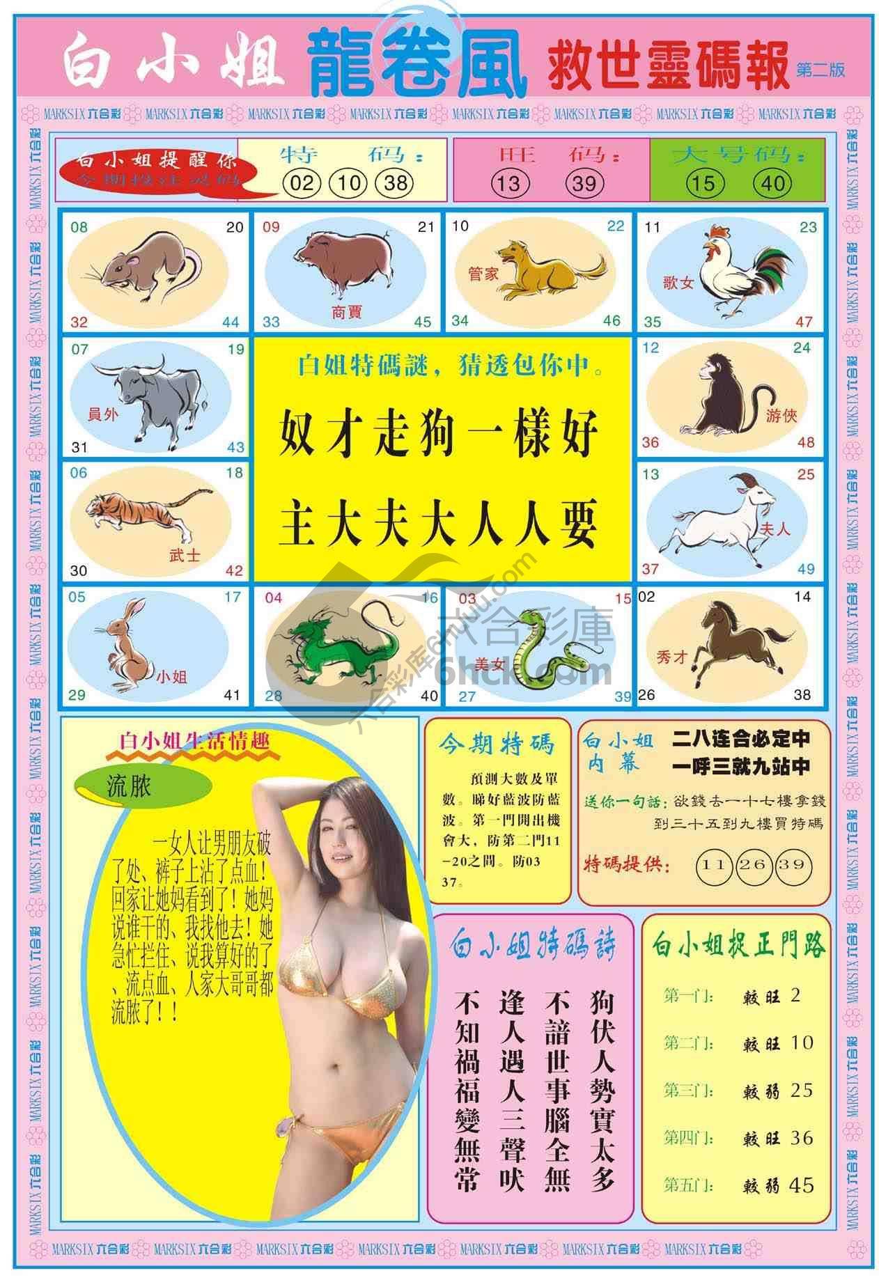 白小姐救世灵码报
