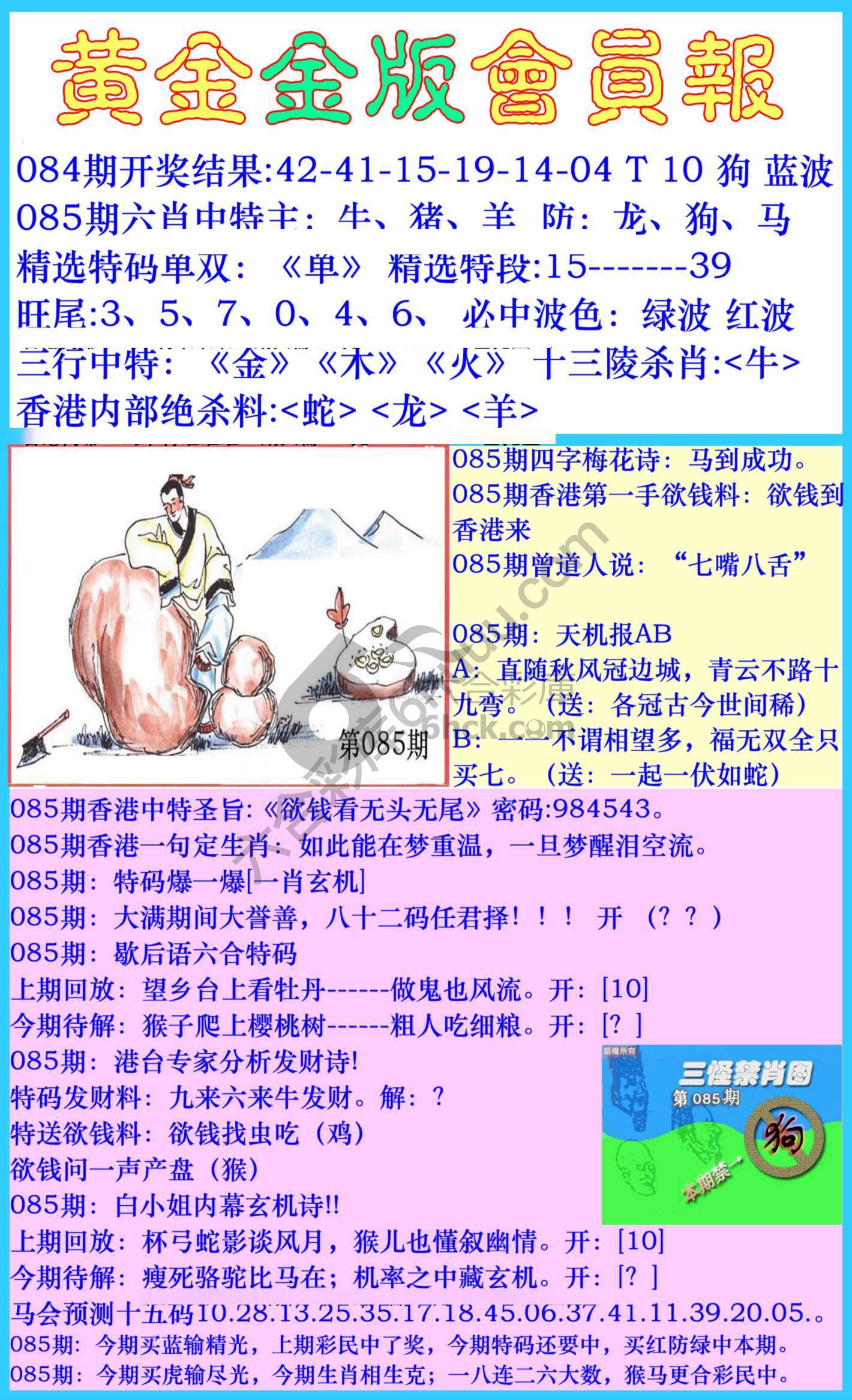 黄金金版会员报
