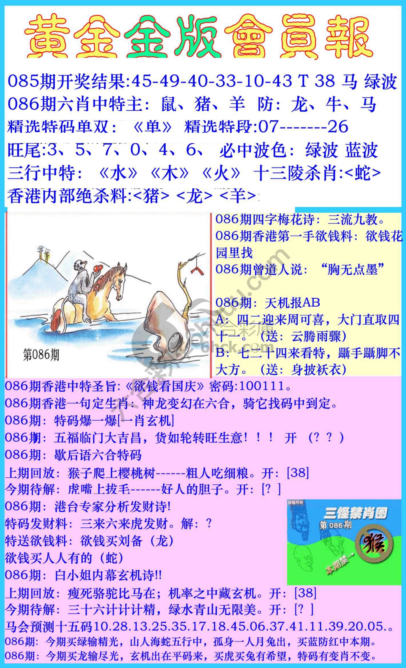 黄金金版会员报