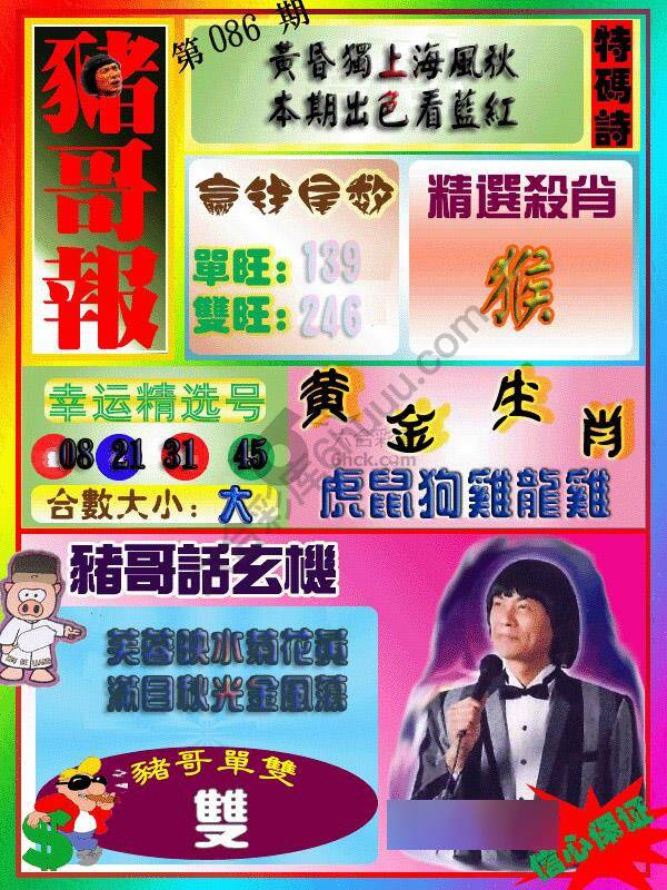 猪哥报