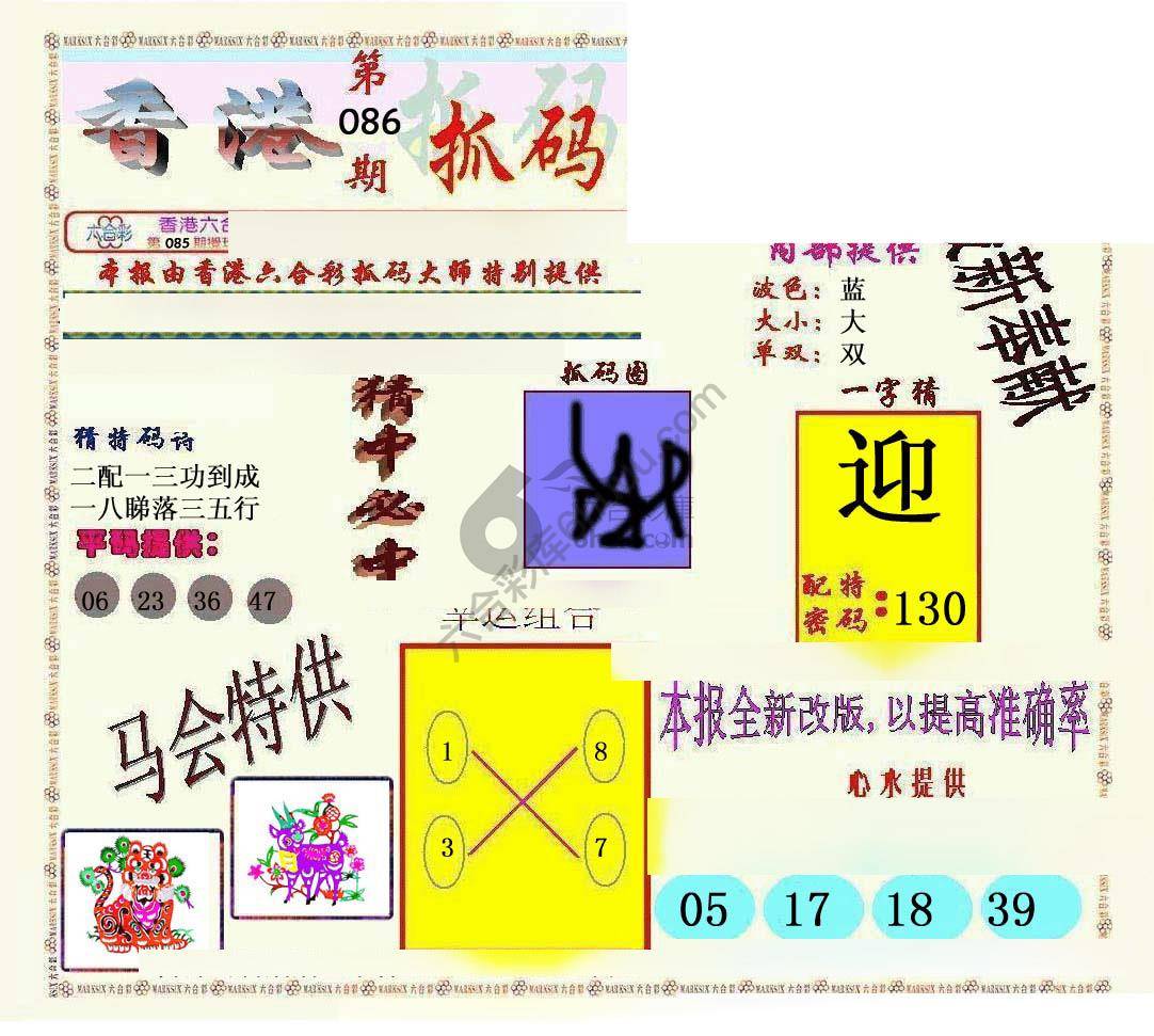 新抓码王