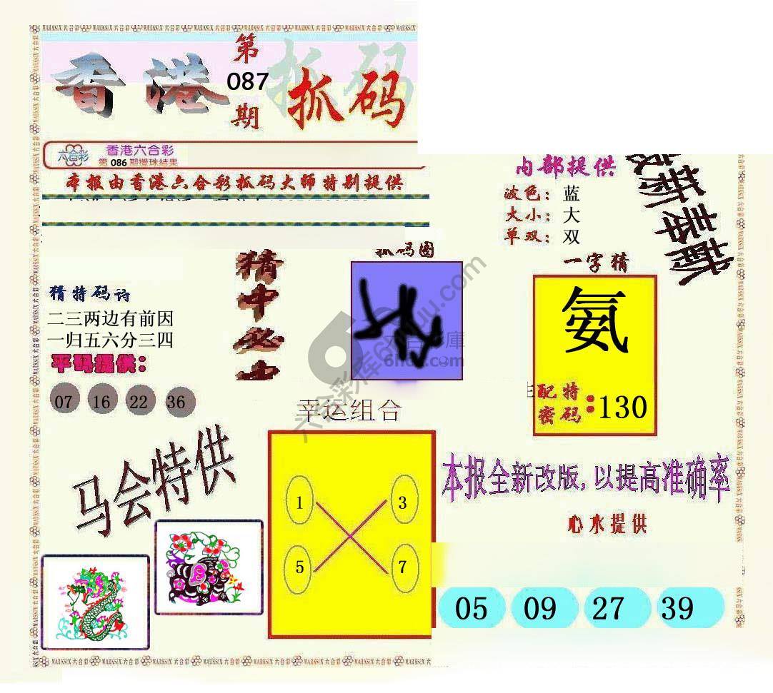 新抓码王