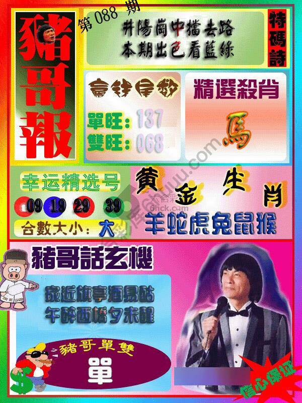 猪哥报