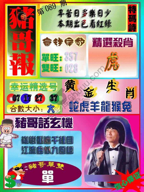猪哥报