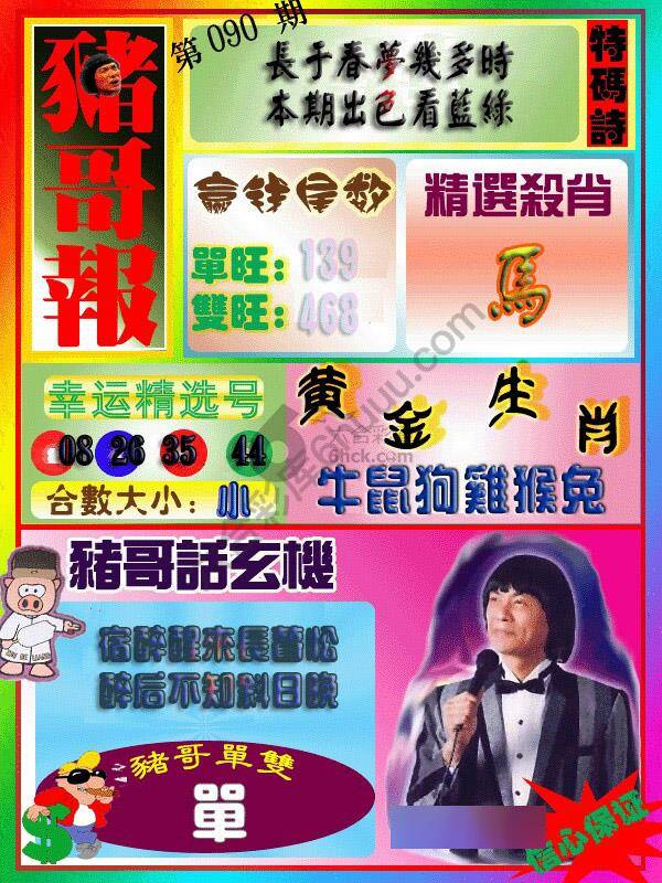 猪哥报