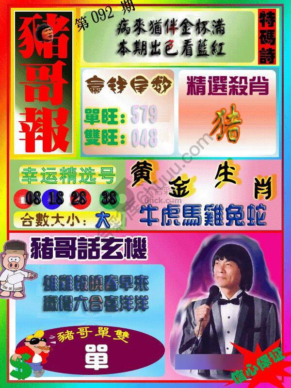 猪哥报