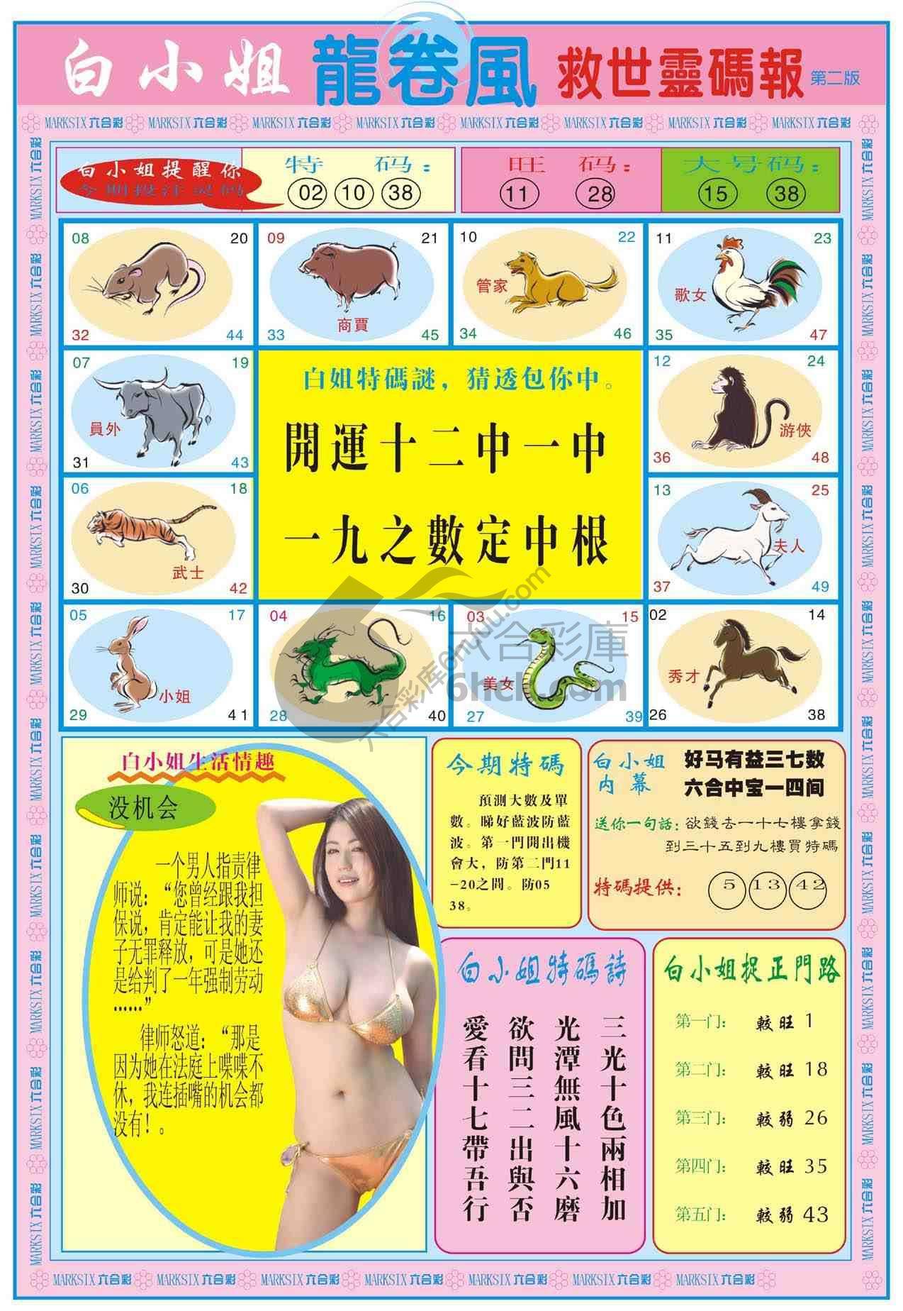 白小姐救世灵码报