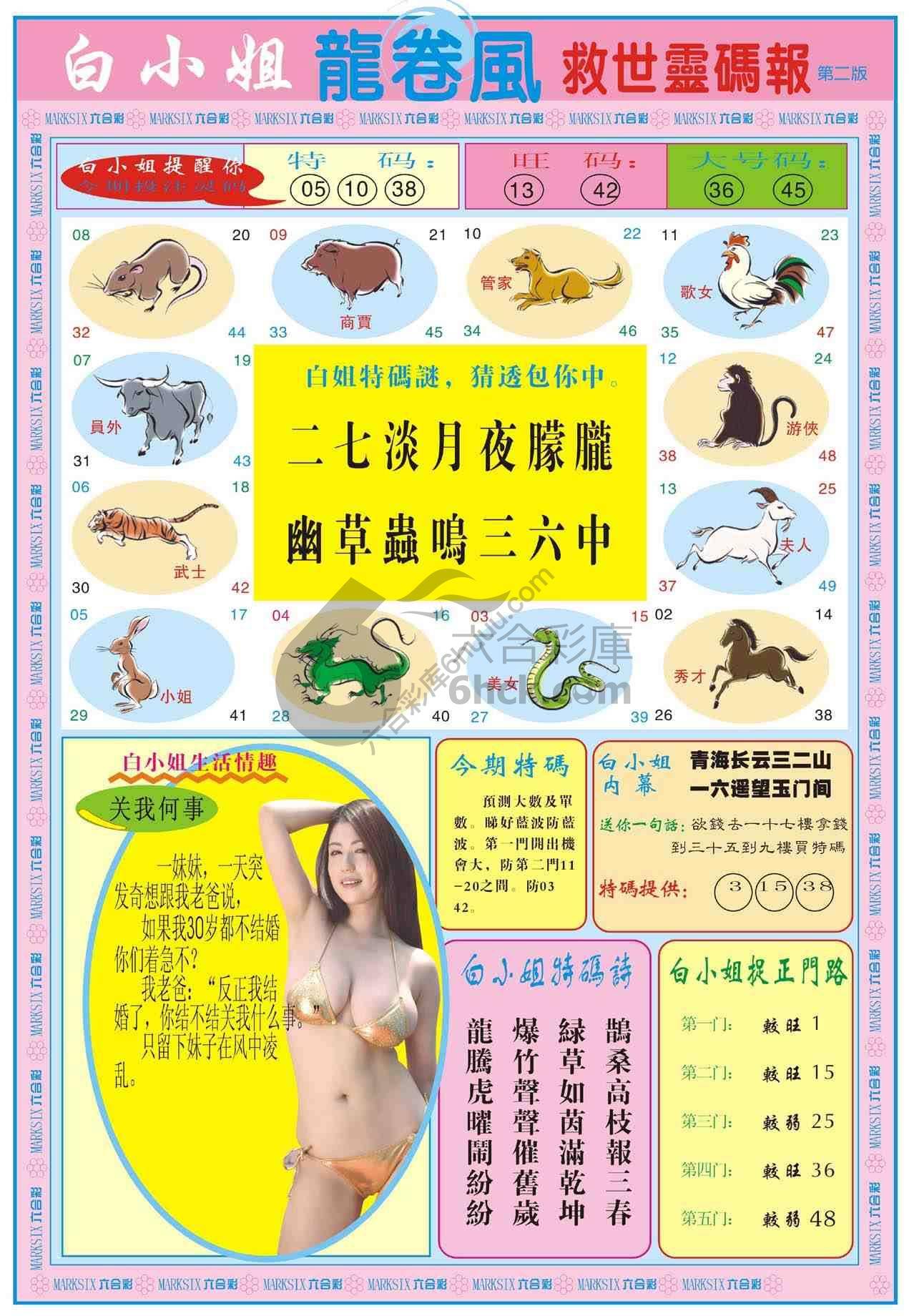 白小姐救世灵码报