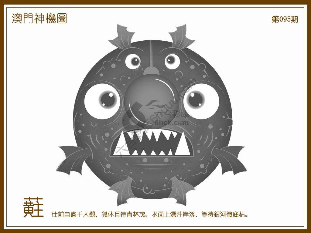 澳门神机图