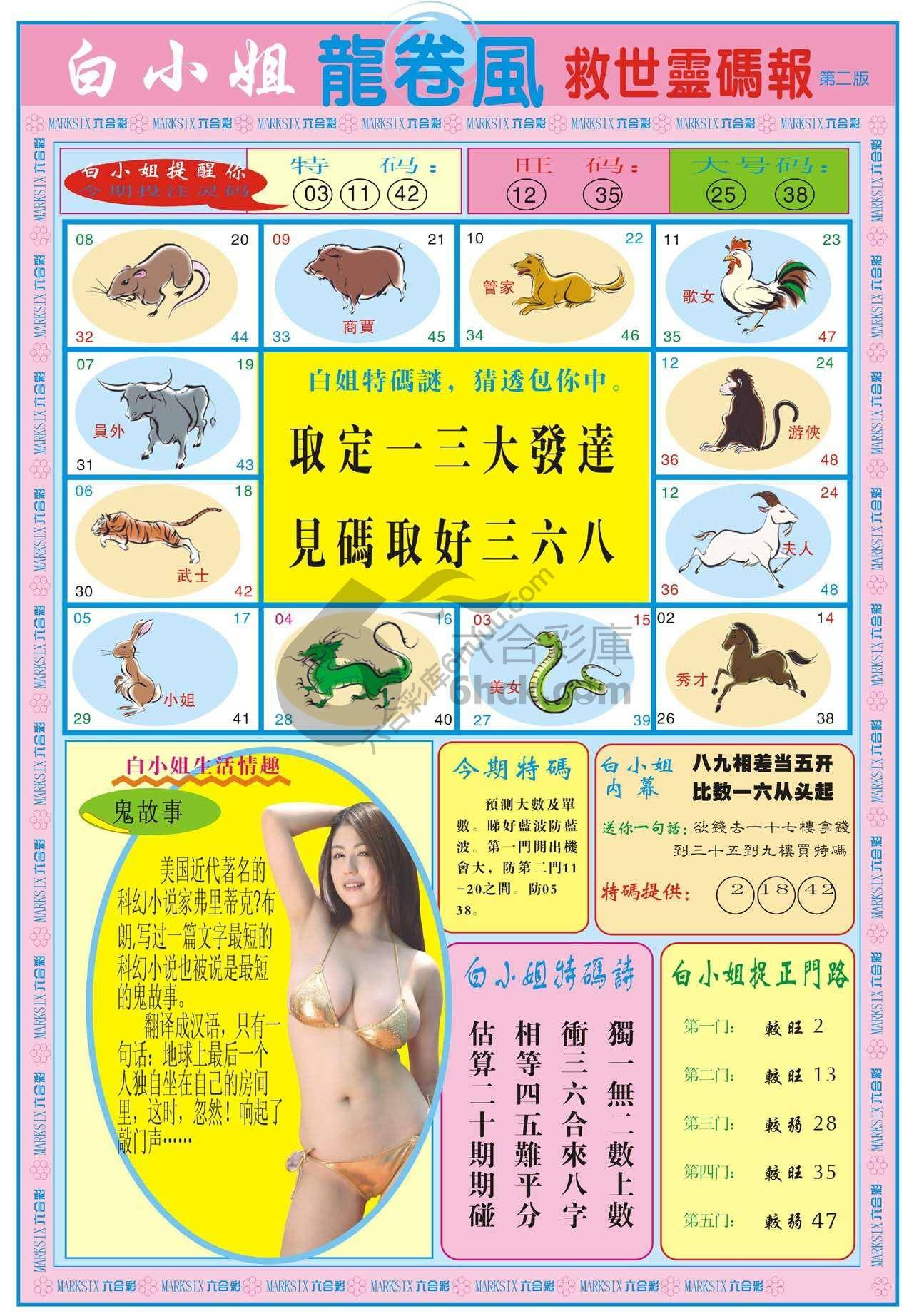 白小姐龙卷风