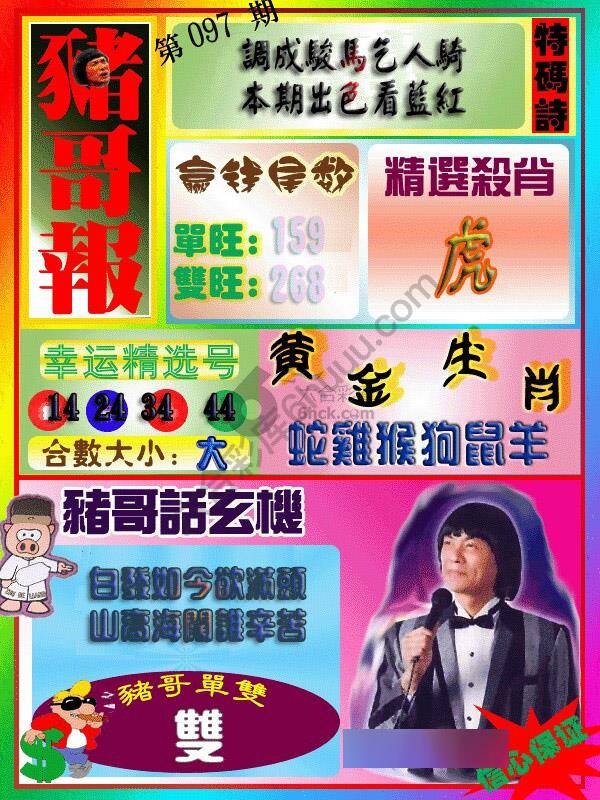 猪哥报