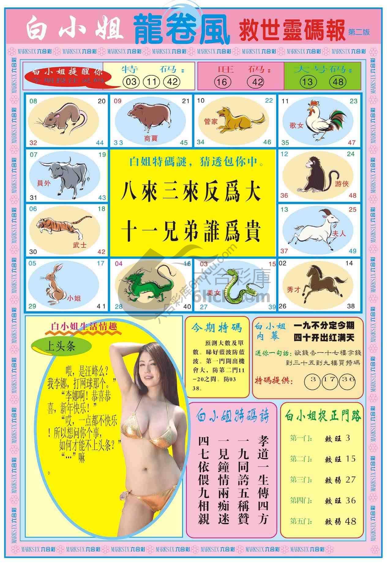 白小姐救世灵码报