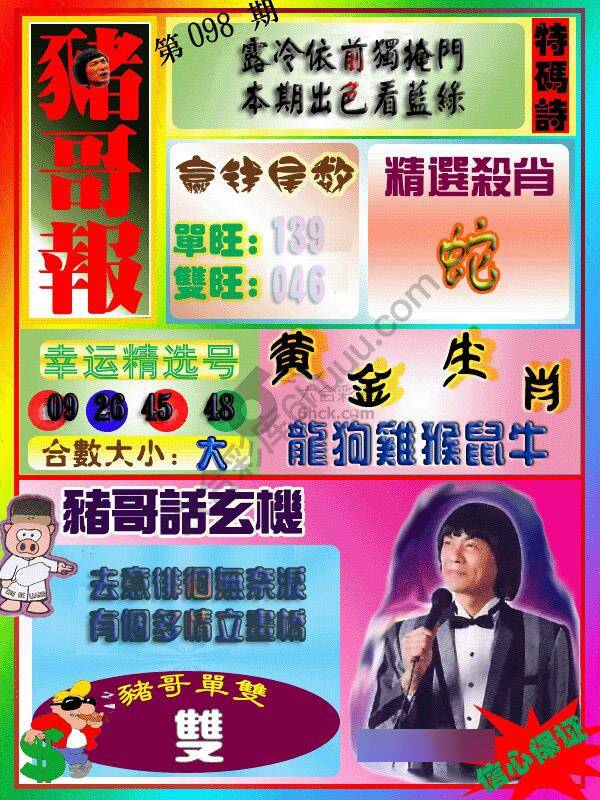 猪哥报