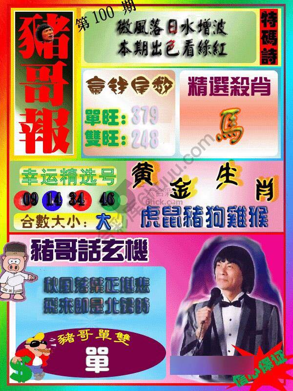 猪哥报