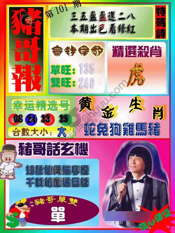 猪哥报