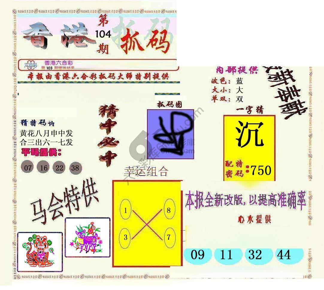 新抓码王
