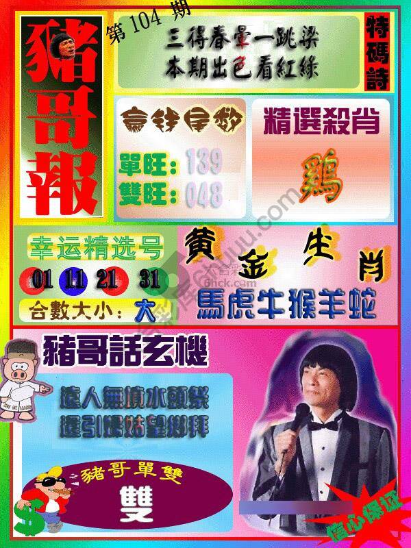 猪哥报