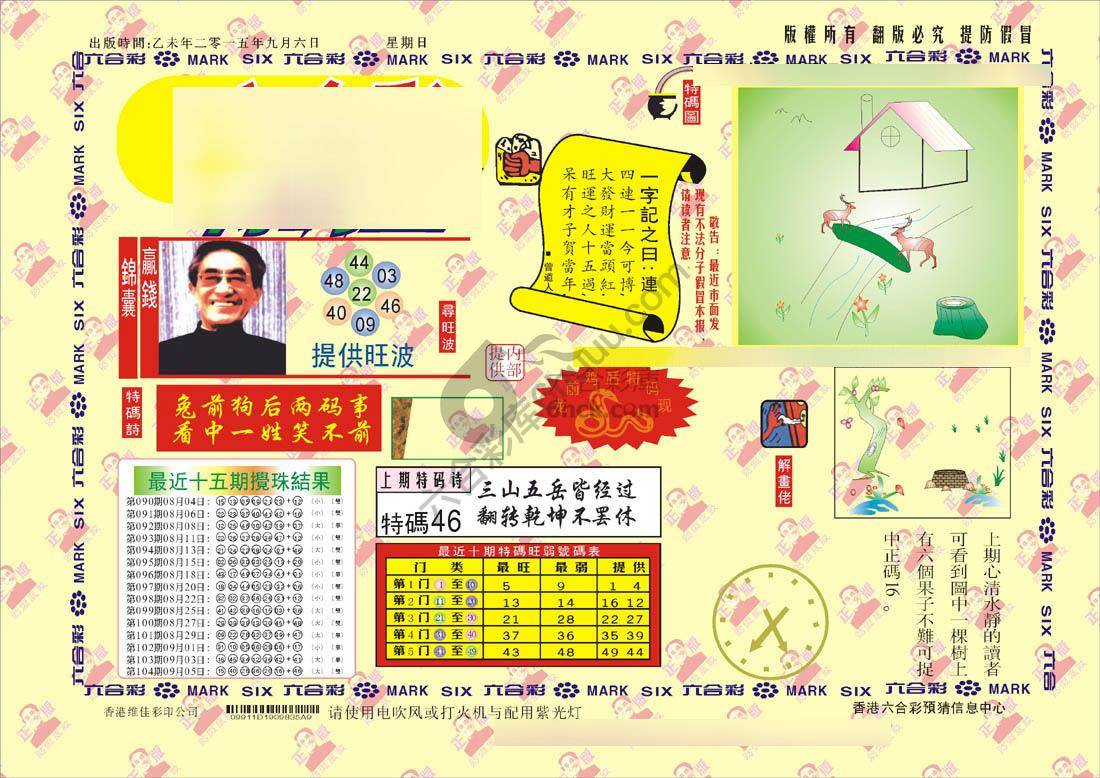 特码王