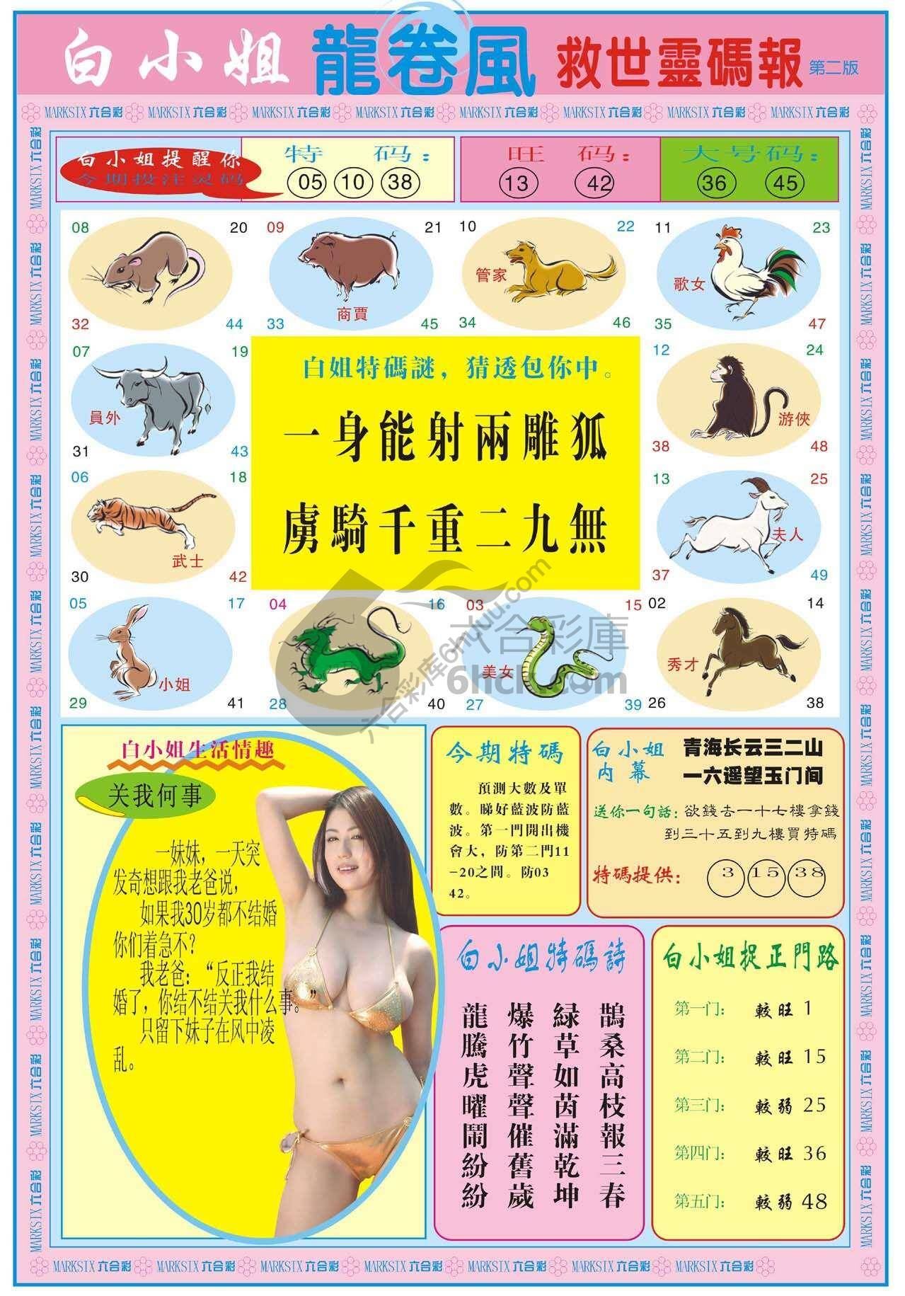 白小姐龙卷风