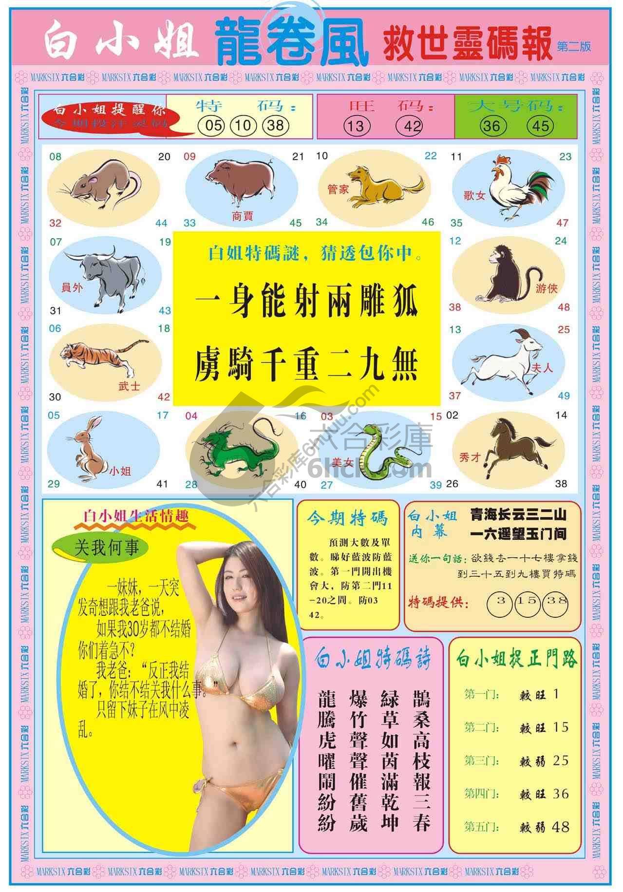 白小姐救世灵码报