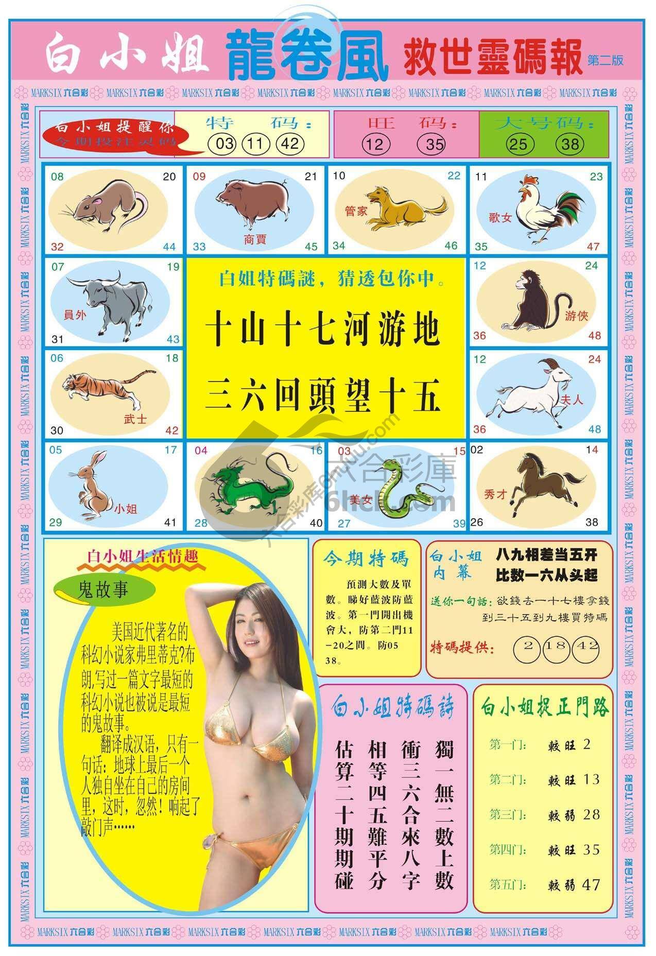 白小姐龙卷风