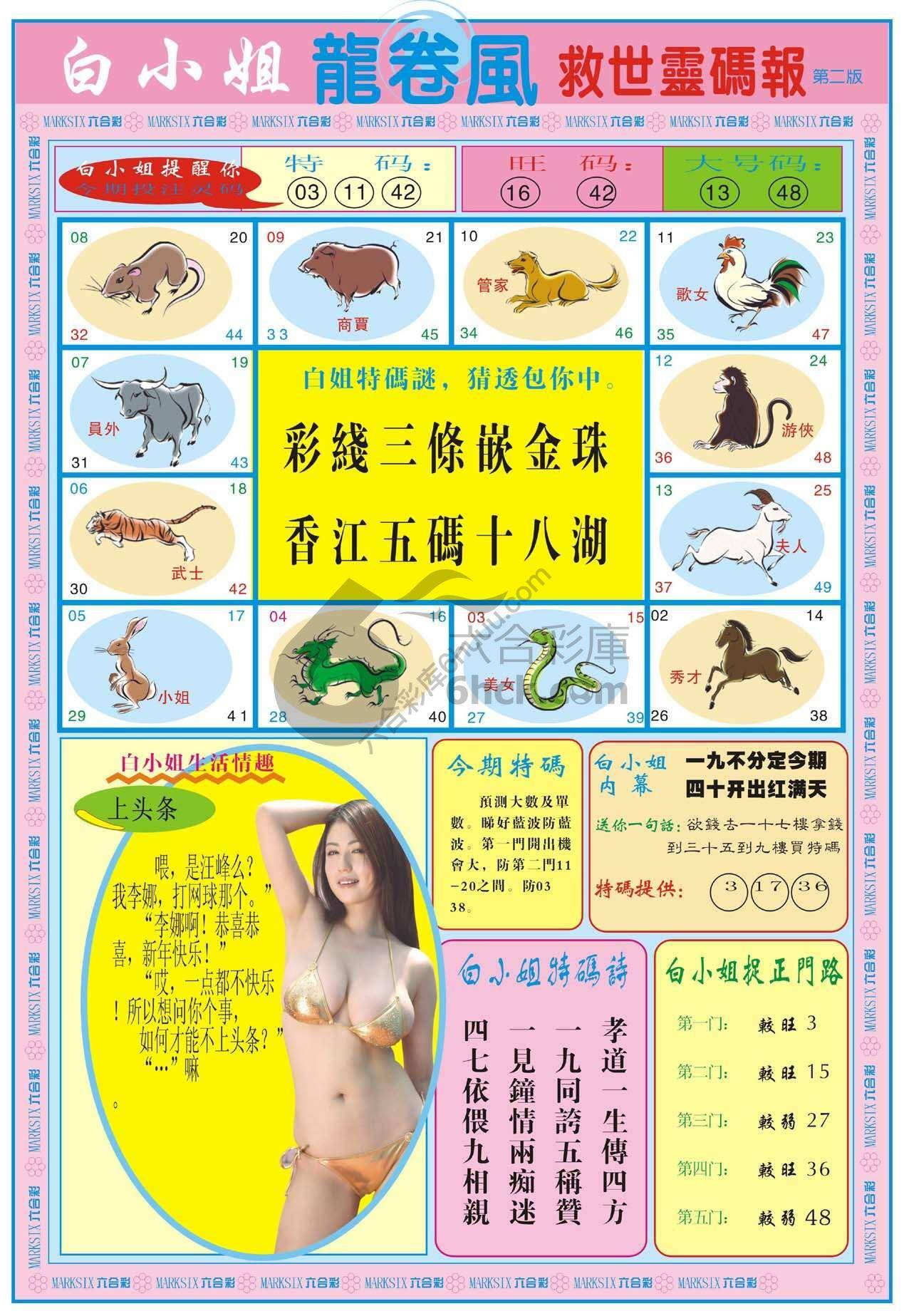 白小姐龙卷风