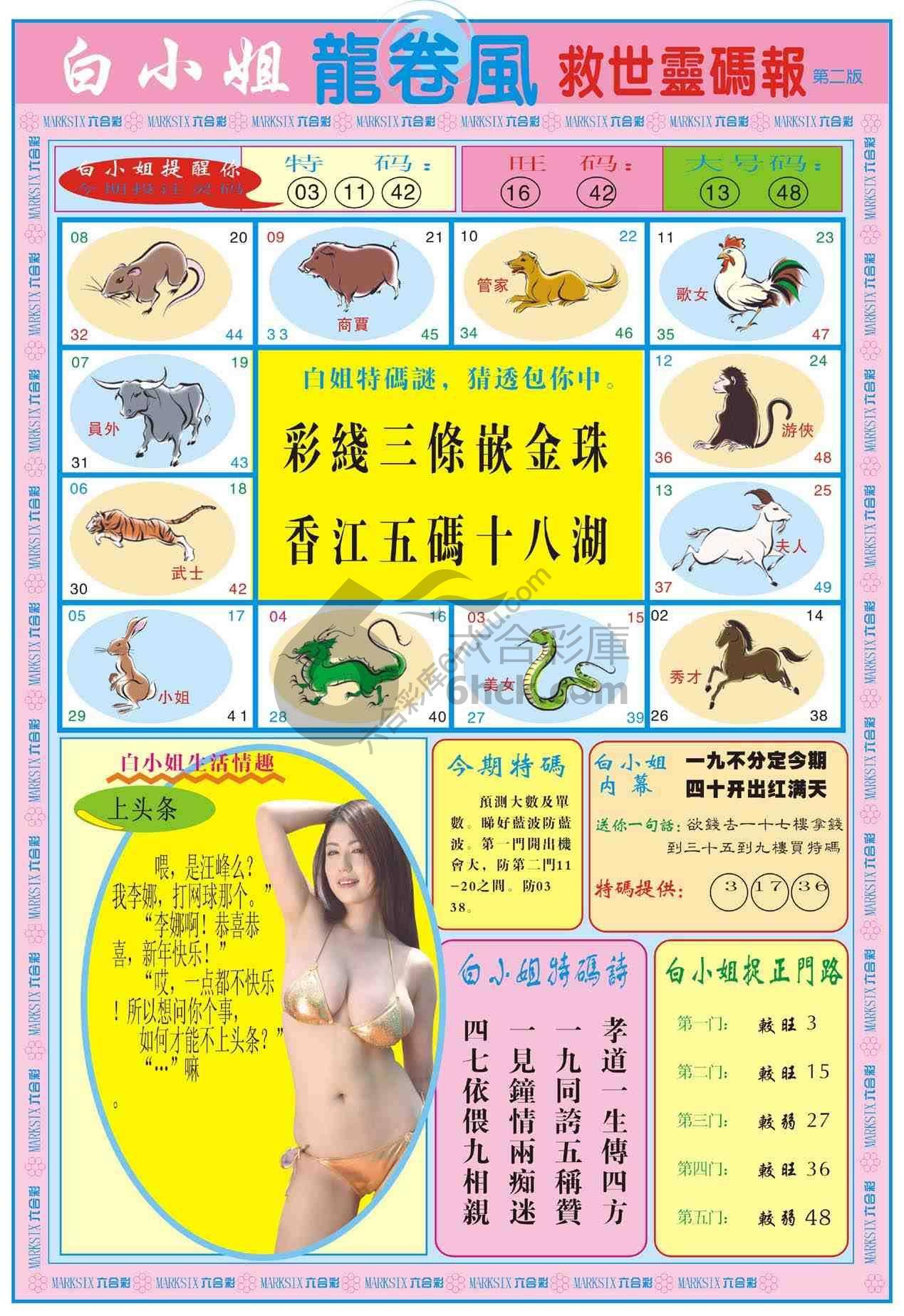 白小姐救世灵码报