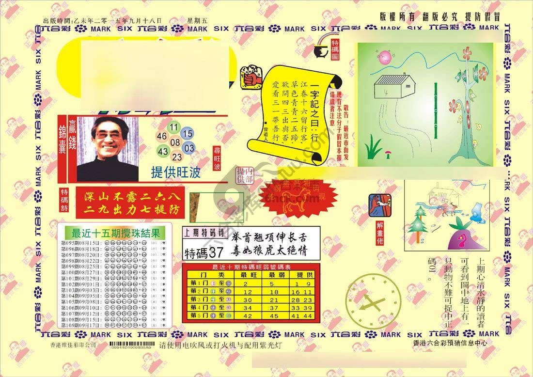 特码王