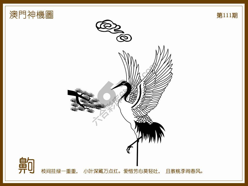 澳门神机图