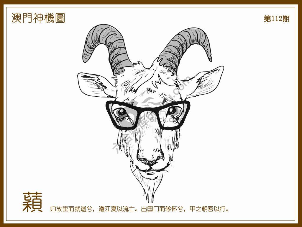 澳门神机图