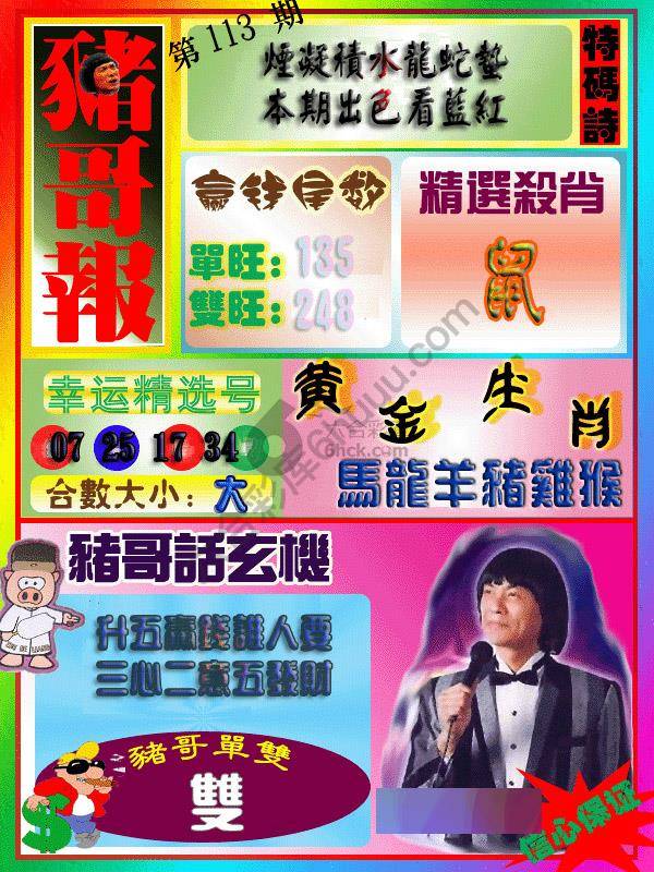 猪哥报