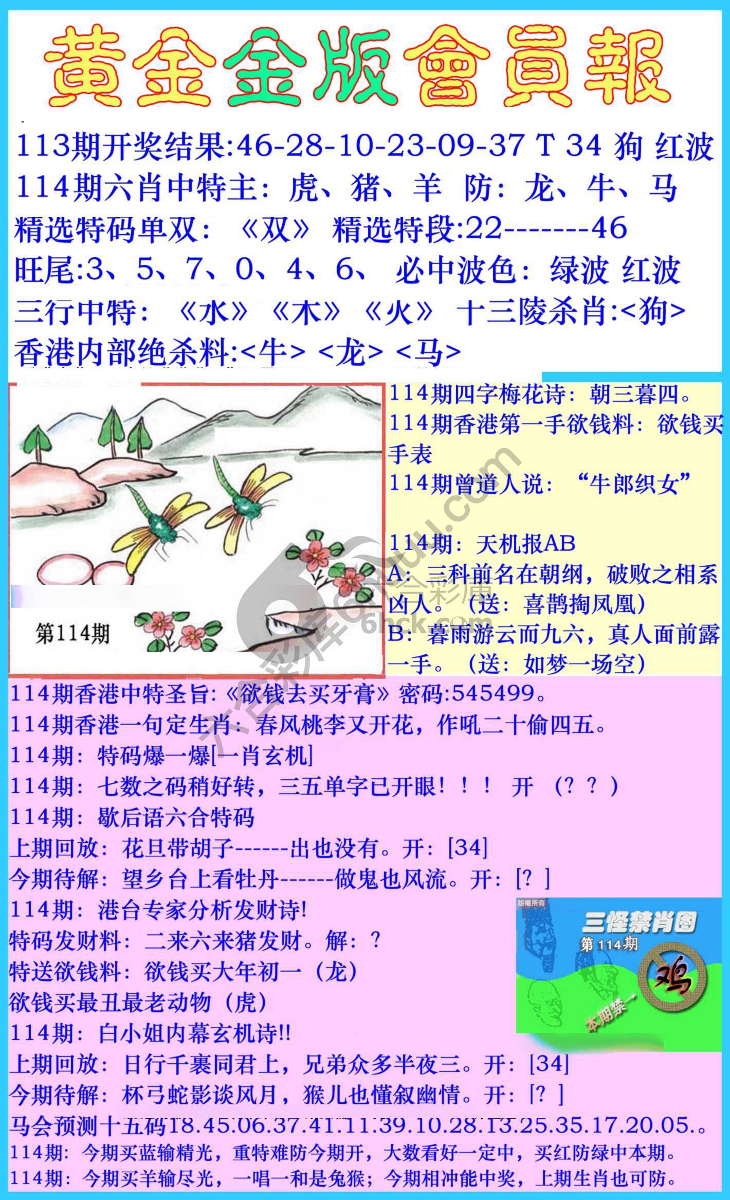 黄金金版会员报