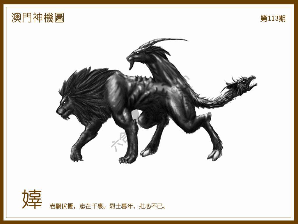 澳门神机图