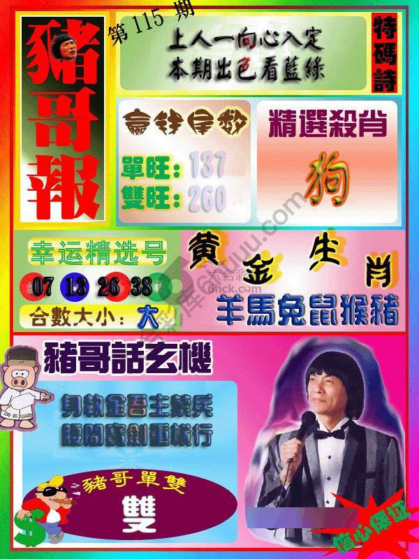 猪哥报
