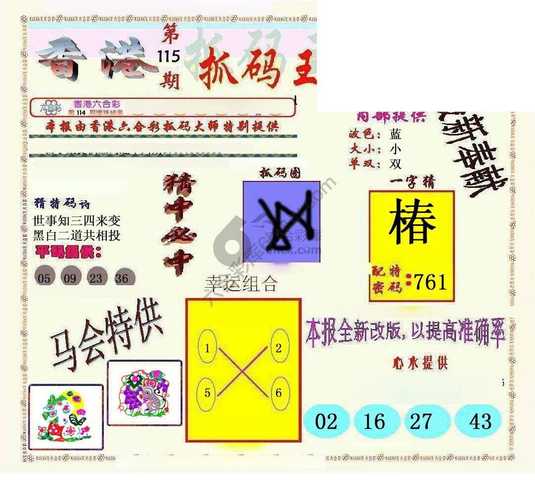 新抓码王